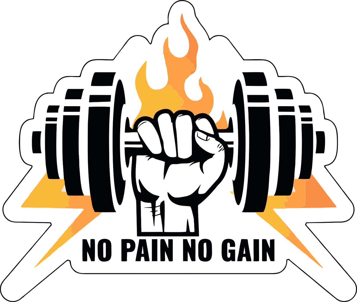 NO PAIN NO GAIN STICKER