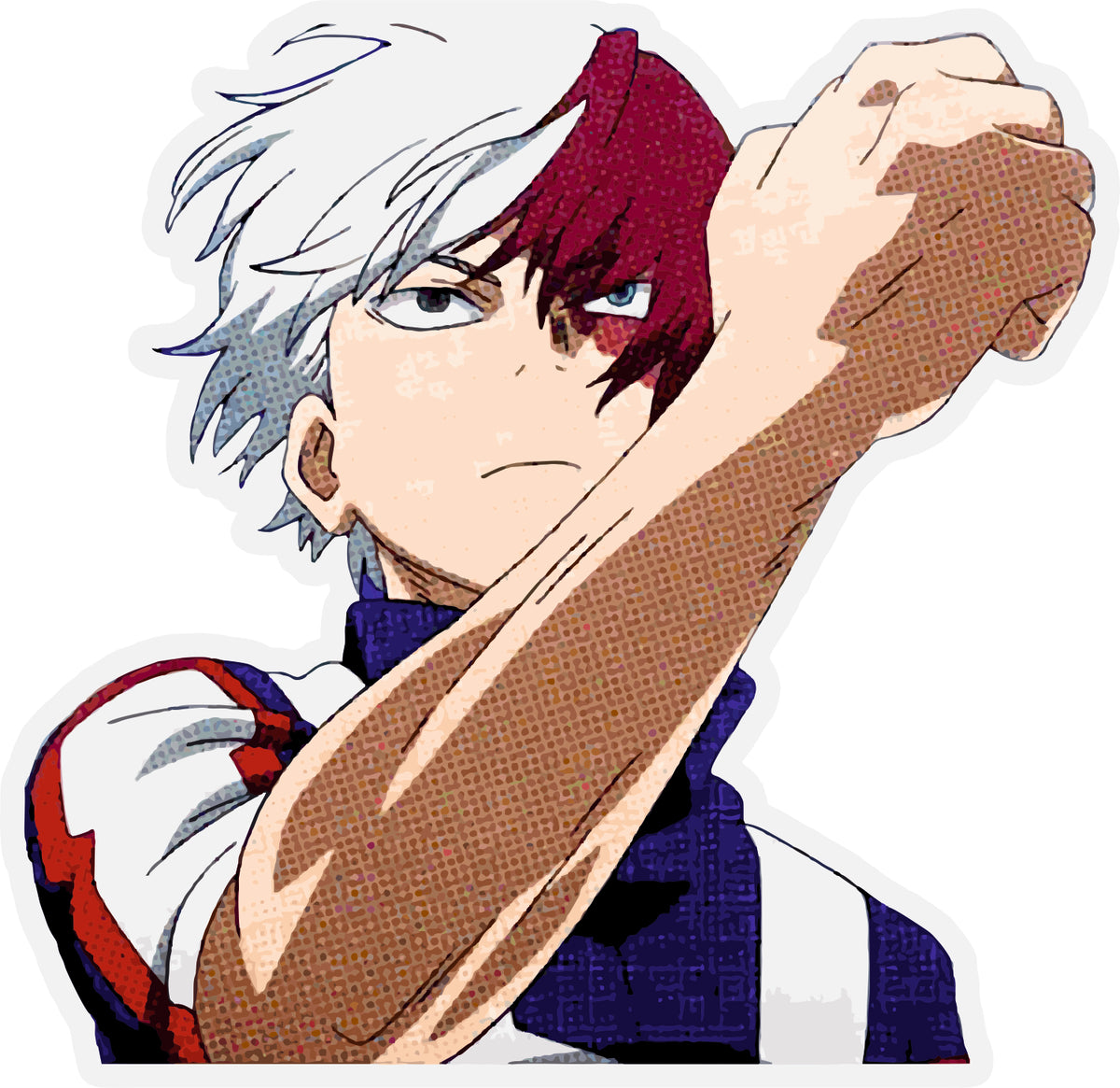 Shoto Todoroki Sticker