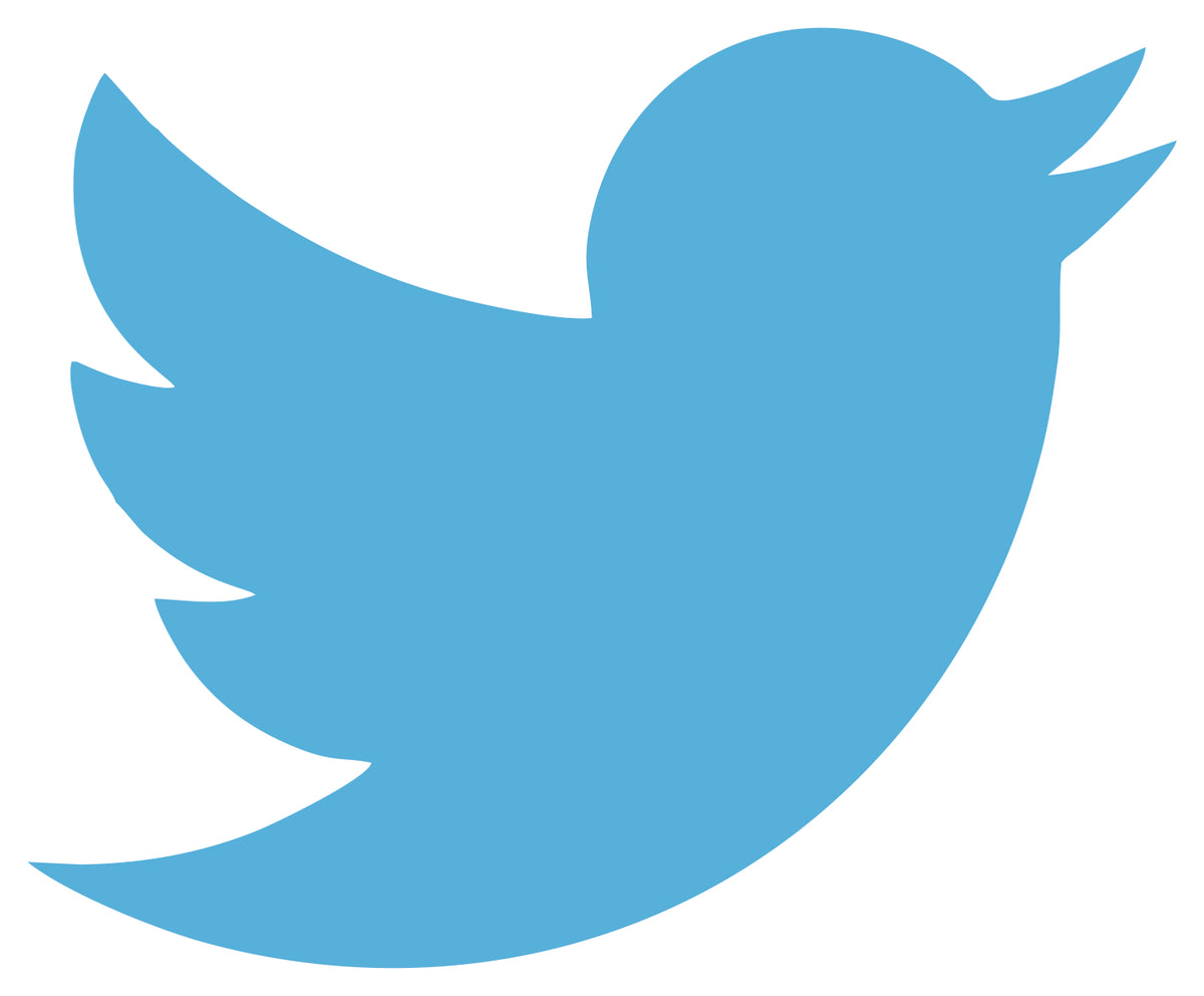 TWITTER LOGO STICKER